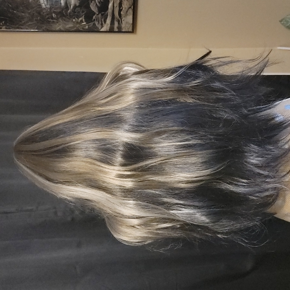 NWOT Beautiful long ombre colored wig with shades of blonde, gold and br…